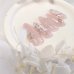 画像1: 【ロングネイル】グラデローズと微粒子グラデのネイルチップ(Ⅼ03) (1)